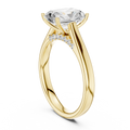 Ring met radiantgeslepen diamant en dubbele band in geelgoud — aanzicht 12